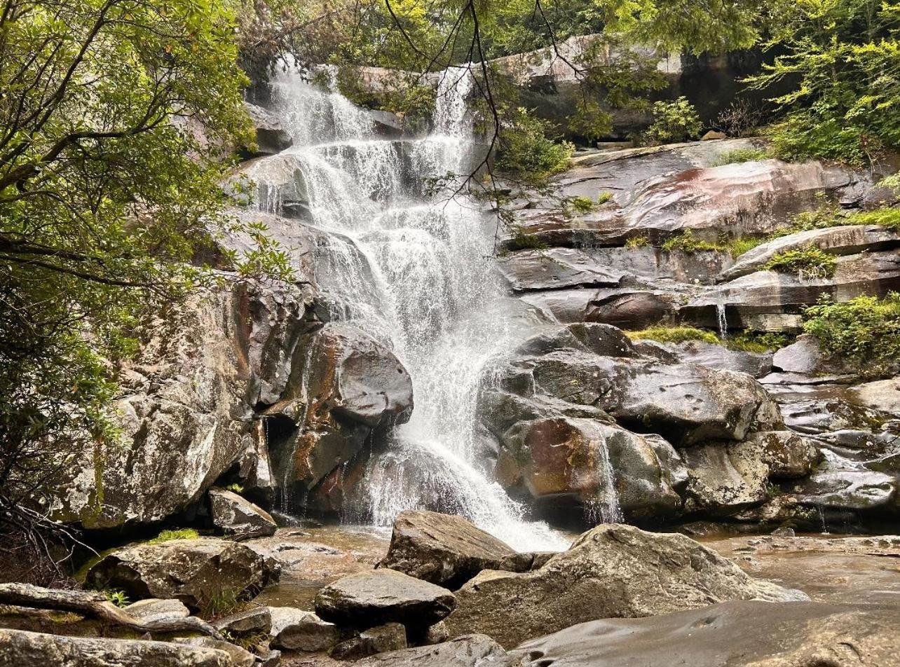 Wild Turkey "The Perfect Getaway" Villa Pigeon Forge Ngoại thất bức ảnh