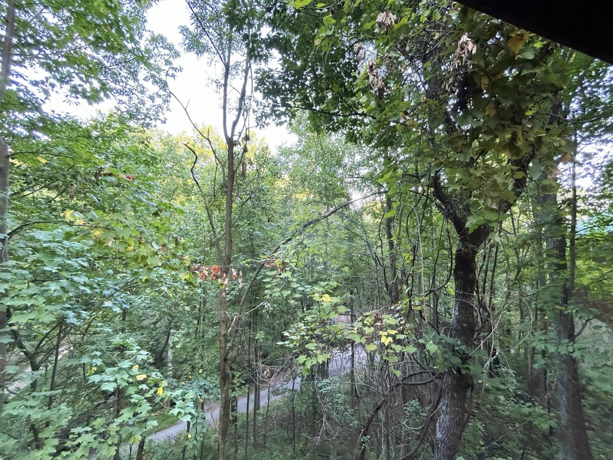 Wild Turkey "The Perfect Getaway" Villa Pigeon Forge Ngoại thất bức ảnh